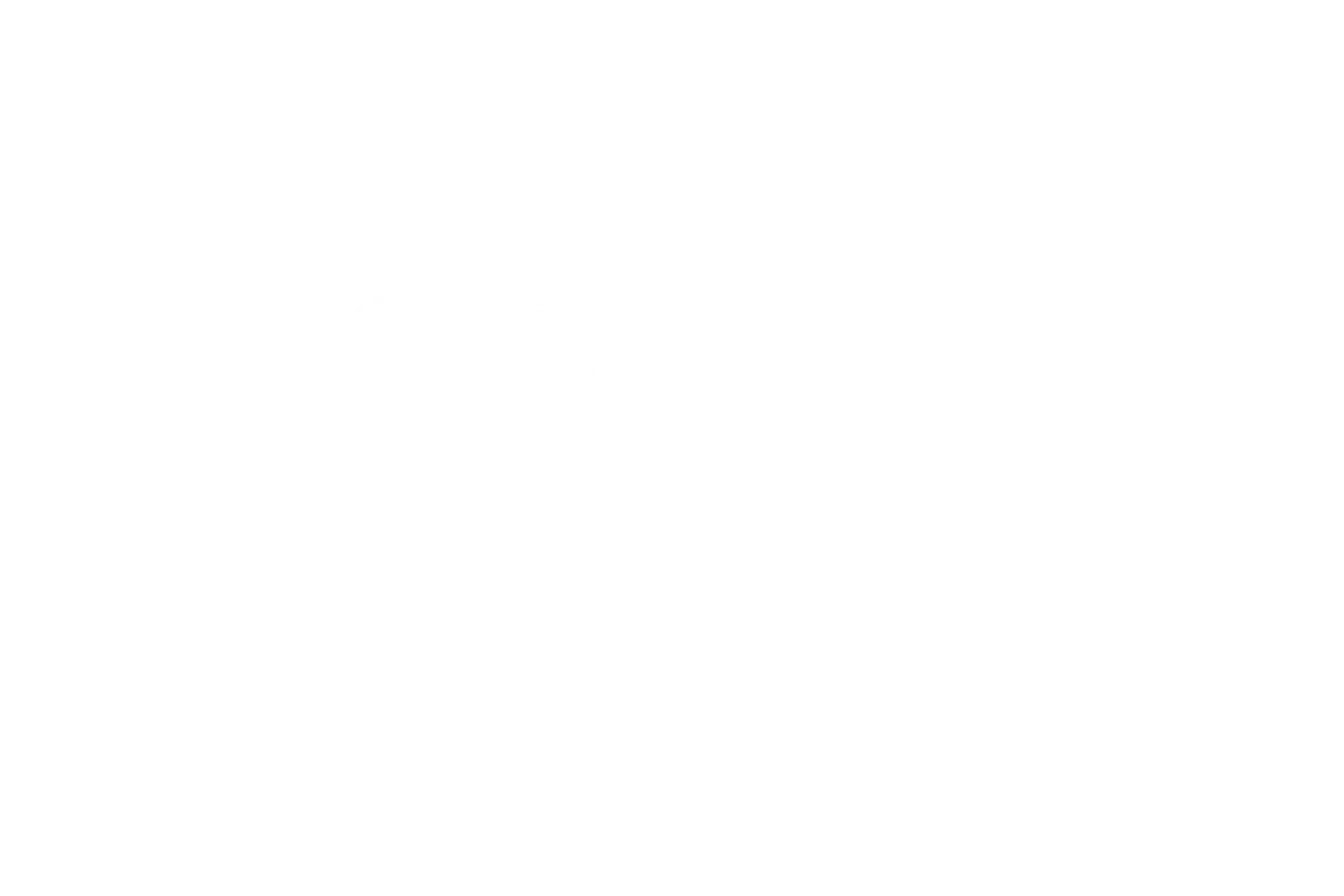 Ford racing