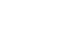 Ford racing